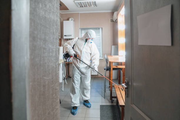 Best Mold Odor Removal Services  in Bellevue, IA