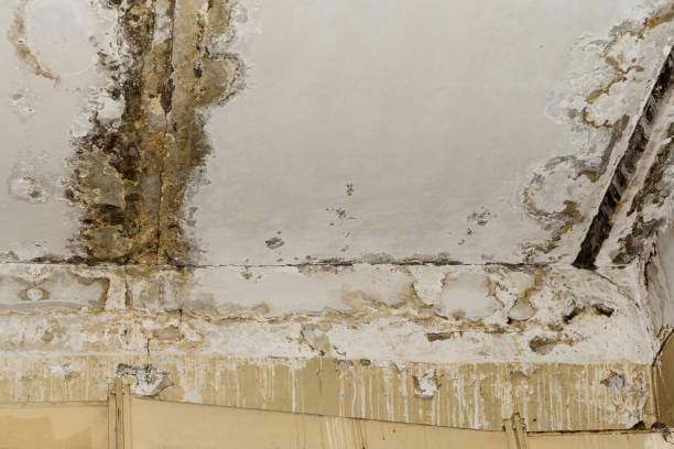Best Indoor Air Quality Assessment  in Bellevue, IA